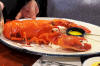 Lobster